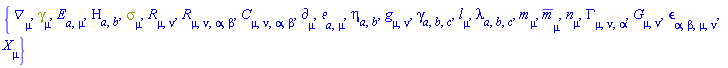 {Physics:-D_[mu], Physics:-Dgamma[mu], E[a, mu], Eta[a, b], Physics:-Psigma[mu], Physics:-Ricci[mu, nu], Physics:-Riemann[mu, nu, alpha, beta], Physics:-Weyl[mu, nu, alpha, beta], Physics:-d_[mu], Physics:-Tetrads:-e_[a, mu], Physics:-Tetrads:-eta_[a, b], Physics:-g_[mu, nu], Physics:-Tetrads:-gamma_[a, b, c], Physics:-Tetrads:-l_[mu], Physics:-Tetrads:-lambda_[a, b, c], Physics:-Tetrads:-m_[mu], Physics:-Tetrads:-mb_[mu], Physics:-Tetrads:-n_[mu], Physics:-Christoffel[mu, nu, alpha], Physics:-Einstein[mu, nu], Physics:-LeviCivita[alpha, beta, mu, nu], Physics:-SpaceTimeVector[mu](X)}
