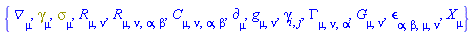 {Physics:-D_[mu], Physics:-Dgamma[mu], Physics:-Psigma[mu], Physics:-Ricci[mu, nu], Physics:-Riemann[mu, nu, alpha, beta], Physics:-Weyl[mu, nu, alpha, beta], Physics:-d_[mu], Physics:-g_[mu, nu], Physics:-gamma_[i, j], Physics:-Christoffel[mu, nu, alpha], Physics:-Einstein[mu, nu], Physics:-LeviCivita[alpha, beta, mu, nu], Physics:-SpaceTimeVector[mu](X)}