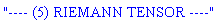 "---- (5) RIEMANN TENSOR ----"