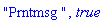 "Prntmsg ", true