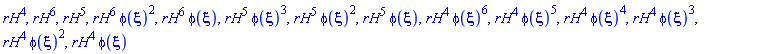 rH^4, rH^6, rH^5, rH^6*phi(xi)^2, rH^6*phi(xi), rH^5*phi(xi)^3, rH^5*phi(xi)^2, rH^5*phi(xi), rH^4*phi(xi)^6, rH^4*phi(xi)^5, rH^4*phi(xi)^4, rH^4*phi(xi)^3, rH^4*phi(xi)^2, rH^4*phi(xi)