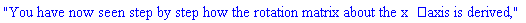"You have now seen step by step how the rotation matrix about the xâ€‘axis is derived,"