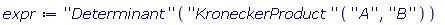 expr := (''Determinant'')((''KroneckerProduct'')(''A'', ''B''))
